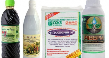 Druhy biologických přípravků a jaké zvolit pro ochranu rostlin před škůdci a chorobami